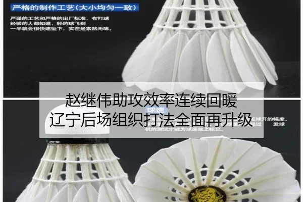 赵继伟助攻效率连续回暖 辽宁后场组织打法全面再升级